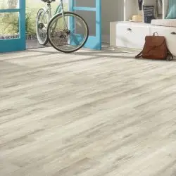 Lamb's Ear (Discovery Ridge) | LVT | 6 x 48