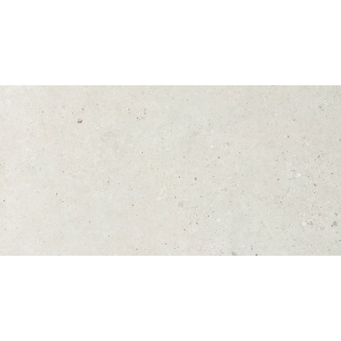 Silver Grain White Nat | Porcelain Tile | 24 x 24 - Image 2