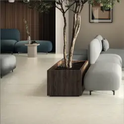 Lime Evolution | Moon | 36 x 36
