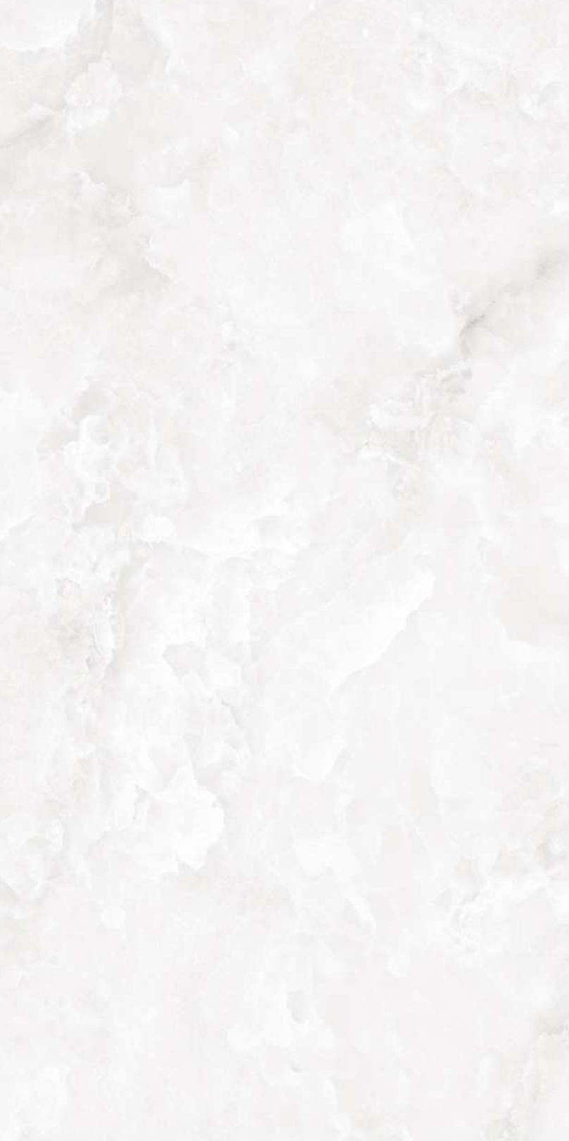 Redo Onyx Bianco Polished | President | 24 x 48 - Image 2