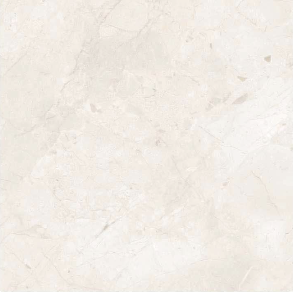Scarito Beige Polished | President | 24 x 24 - Image 2