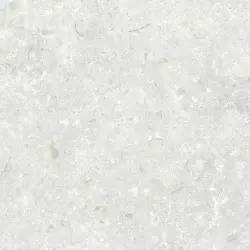 Fossil Perla | 32 x 32 | Porcelain